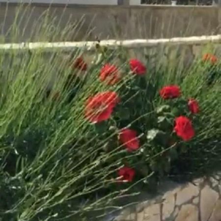 Miro Apartmani Ražanac Exteriér fotografie