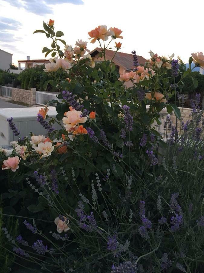Miro Apartmani Ražanac Exteriér fotografie